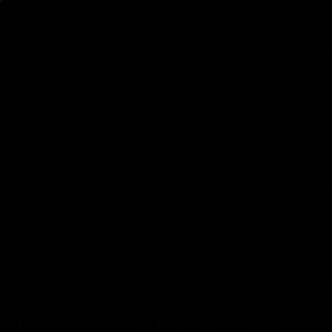 Meet your Posher, Dani